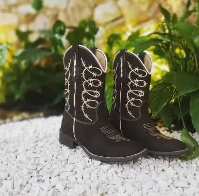 Bota texana marrom bordada